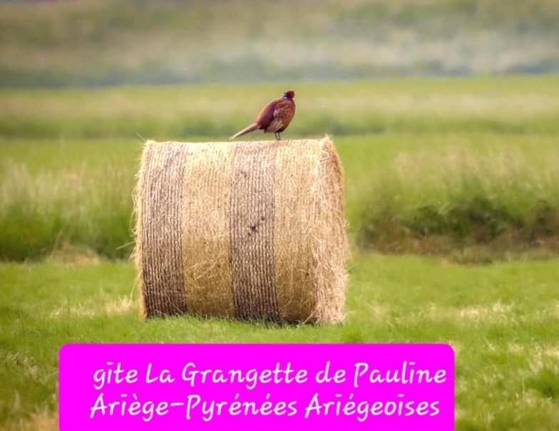 Gite La Grangette De Pauline Mercus-Garrabet Екстериор снимка